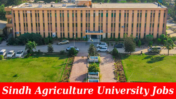 New Sindh Agriculture University Jobs 2023 in Tandojam