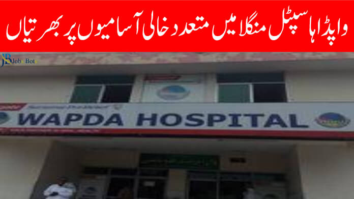 WAPDA Hospital Mangla Jobs 2023