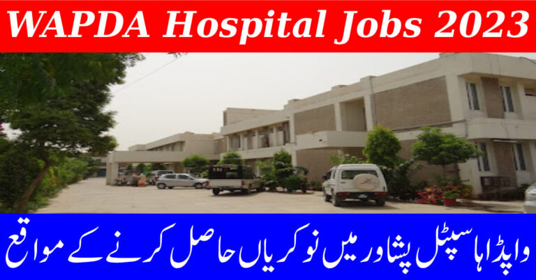 WAPDA Hospital Peshawar Jobs 2023