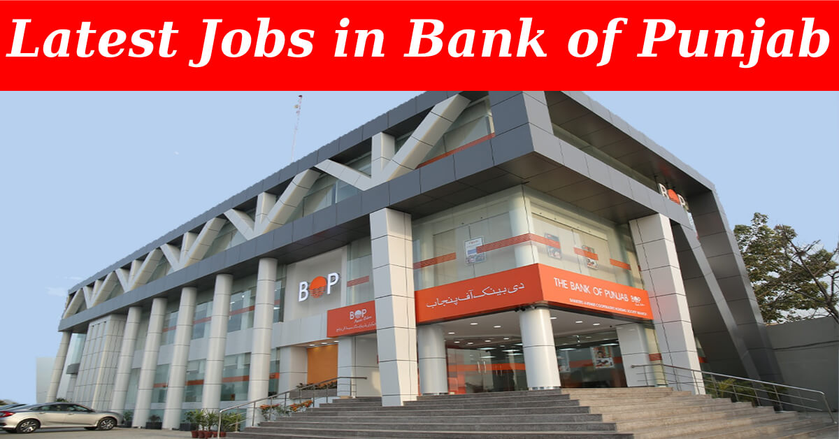 Bank of Punjab BOP Jobs
