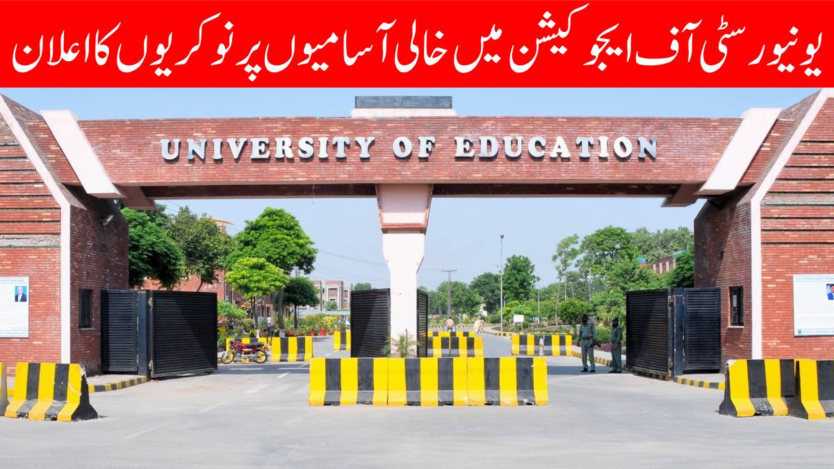 University of Education Jobs