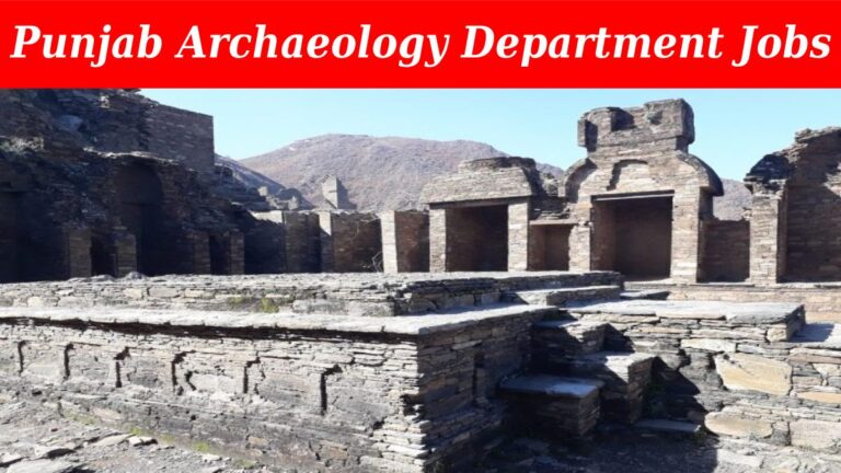 Punjab Archaeology Department Jobs