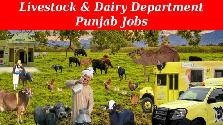 Livestock and Dairy Development Department Punjab Jobs