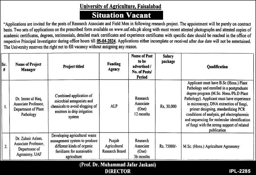 University of Agriculture Faisalabad UAF Jobs 2024 Apply Online